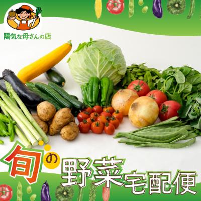 ふるさと納税 大館市 旬の野菜宅配便