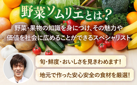 【3回定期便】ソムリエ厳選安心の地元野菜と果物のお任せセット【株式会社ひらど新鮮市場】[KAB159]/ 長崎 平戸 野菜 果物 キャベツ アスパラガス ナス 大根 かぶ ミニトマトトマト 玉ねぎ い