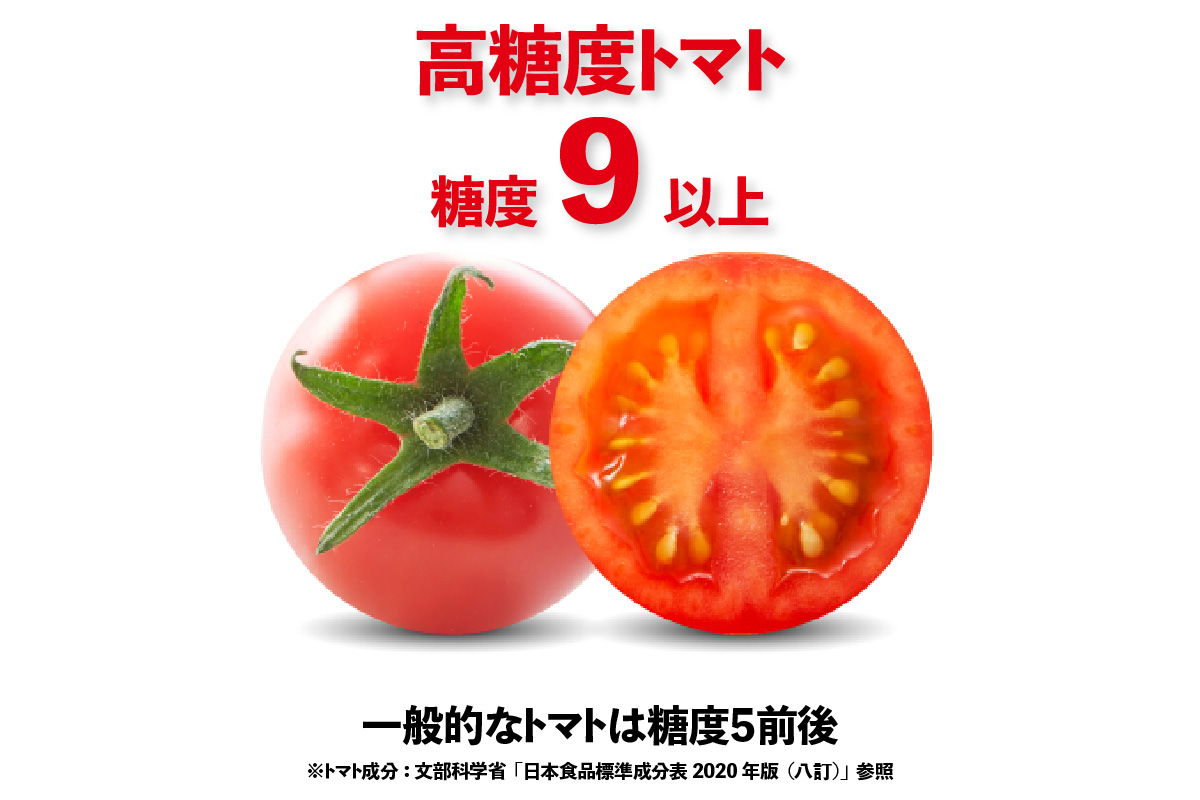 【先行予約】【2025年12月頃から順次発送】トマト好きが、恋をする。　2kg　金赤トマトミニ 野菜 新鮮野菜 夏野菜 旬野菜 生野菜 ミニトマト プチトマト フルーツ トマト 国産 味が濃い 濃厚 