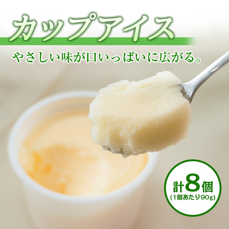 CA34-23 ≪手作りアイス≫カップ＆モナカセット(合計20個)　スイーツ　お菓子　最中　なかつや_イメージ2