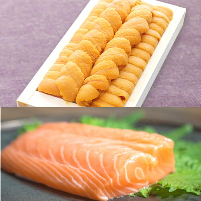 【ふるさと納税】エゾバフンウニ140g×1折、お刺身サーモン300g～500g(1～3本)[11月下旬以降発送] E-40031