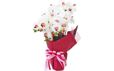 No.829-01 造花 シルクフラワーの胡蝶蘭の鉢植 3本立 CT触媒 ホワイトオーキッド