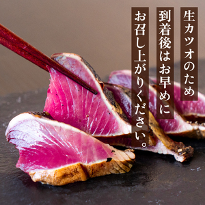 【 かつおのたたき 】 かつおのたたき600g