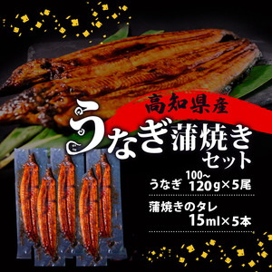 うなぎ 国産 高知県産 鰻 蒲焼き 100g～120g×5尾 セット 蒲焼きのタレ 付き 冷凍 高知県 須崎市 ( うなぎ 蒲焼き うなぎ 冷凍 うなぎ スタミナ うなぎ 土用の丑の日 うなぎ タレ 