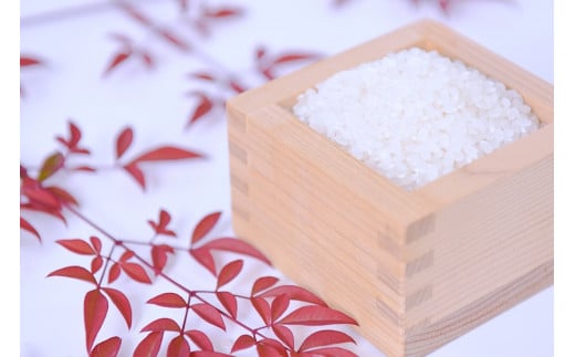 【JA阿蘇小国郷】令和7年産 新米 あきげしき 5kg 精米 産直 検査米 ノンブレンド米 単一原料 お米 白米 精白米 銘柄米 阿蘇小国のお米 熊本 阿蘇 小国町 産地直送 国産米 日本産 地場産 