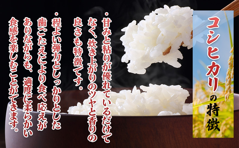 【新潟県上越市産　令和7年産】栽培期間中 農薬不使用コシ