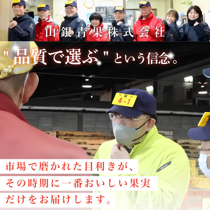 【6月下旬より順次発送】とうもろこし ゴールドラッシュ 4kg以上 選べる 容量 厳選 新鮮 甘い 生 国産 野菜 スイートコーン バーベキュー BBQ コーン 旬 徳島県