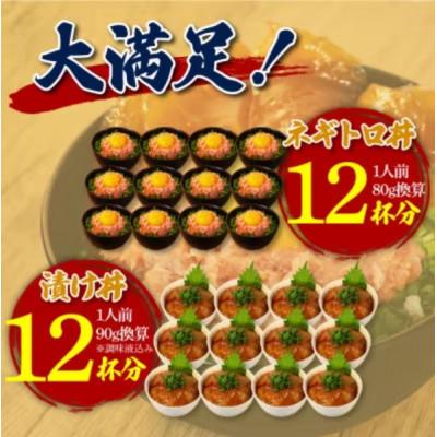 ふるさと納税 高知市 ネギトロ 約80g×12パック+マグロの漬け 約90g×12パック【BX052】