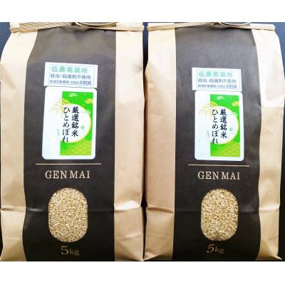 ふるさと納税 一関市 低農薬栽培ひとめぼれ玄米10kg