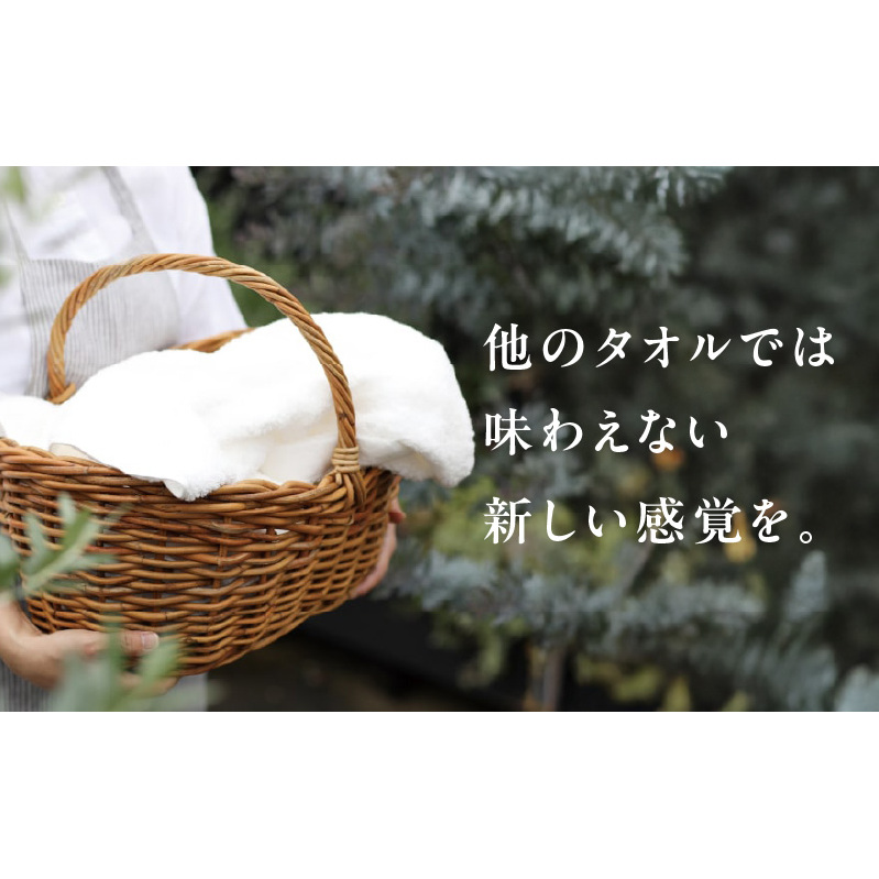【TVで紹介！】おぅ！え～やん フェイスタオル（ホワイト）12枚【泉州タオル 国産 吸水 普段使い 無地 シンプル 日用品 家族 ファミリー】  G3172_イメージ5