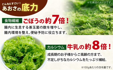 冷凍生あおさ50g×10袋 計500g[RBN007] あおさ アオサ あおさ アオサ あおさ アオサ あおさ アオサ あおさ アオサ あおさ アオサ あおさ アオサ九州 長崎