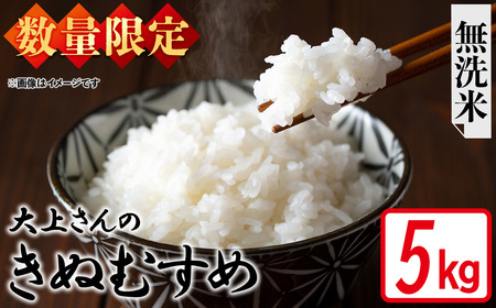＜令和7年産・数量限定＞大上さんのきぬむすめ(無洗米・5kg) 鳥取県 米 白米 コメ こめ お米 おこめ ごはん ご飯 5キロ 10キロ 【sm-EF004-C05】【やまのおかげ屋】