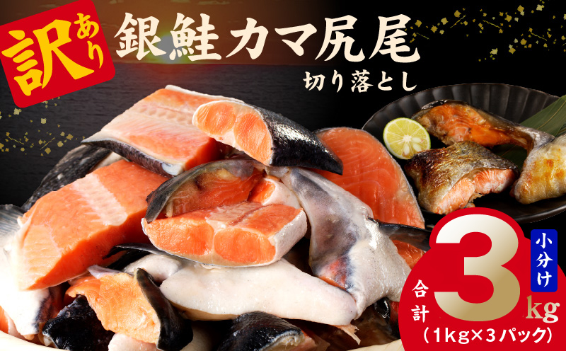 【訳あり】規格外 銀鮭 切り落とし 3kg【カマ 尻尾 小分け 1kg×3P 海鮮 魚介 鮭 さけ しゃけ 部位不揃い 大阪 泉佐野 大阪府 泉佐野市】