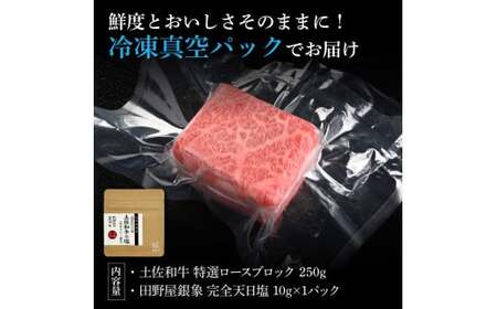 土佐和牛 特選ロースブロック250g 田野屋銀象完全天日塩1P付き 長期熟成肉 田野屋銀象 完全天日塩付き ロース 牛肉 ブロック 肉 お肉 和牛 国産 牛 熟成肉【株式会社LATERAL】 [BQA