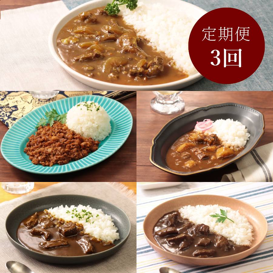 ＜カレー工房NVfoods＞カレー好きのためのアソート 12個セット定期便 3カ月コース