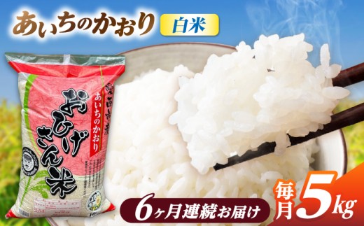 【6回定期便】 あいちのかおり 白米 5kg×6ヵ月 愛西市 / 脇野コンバイン [AECP005]