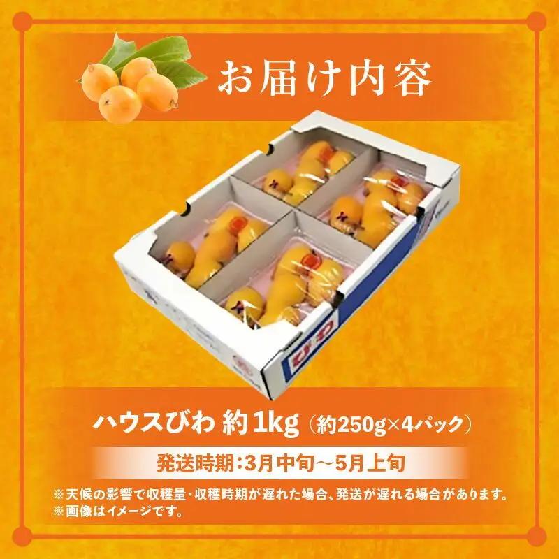 ハウスびわ 約1kg【2026-4月中旬～2026-5月上旬配送】| びわ