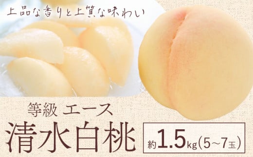 【2025年先行予約】清水 白桃 等級 エース 約1.5kg 5～7玉入りもも モモ 岡山 国産 フルーツ 果物 ギフト 桃茂實苑《7月中旬-8月中旬頃出荷》岡山県 浅口市 フルーツ モモ 果物 青果 旬 白桃 国産 岡山県産【配送不可地域あり】