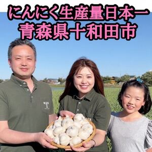 青森生にんにく40玉★年に1度、収穫時期しか食べられない逸品です★【配送不可地域：離島】【1619326】