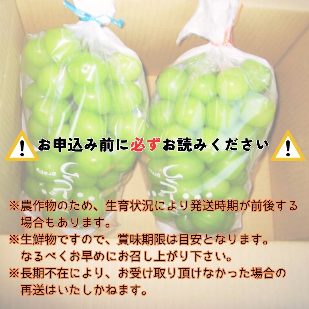 【南信州高森産】シャインマスカット 2房