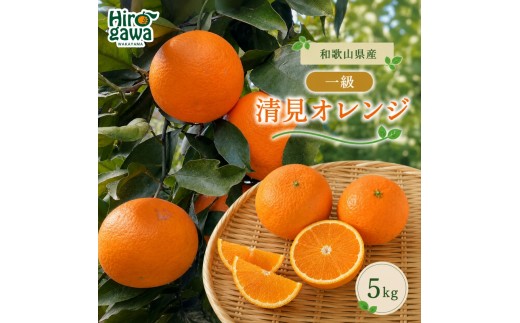 
                  清見 一級品 5kg / 和歌山 有田 広川 清見 オレンジ きよみ 柑橘 果物 くだもの ギフト フルーツ 果実 ※2027年3月上旬～3月下旬頃に順次発送予定【hkt011-p-5】
                