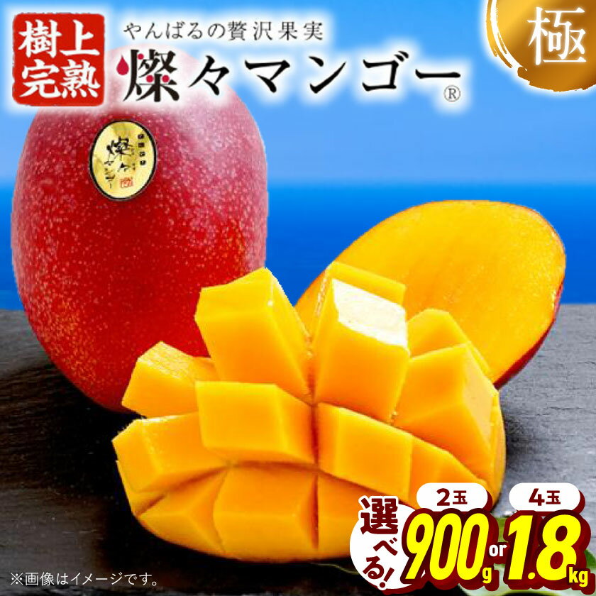 【ふるさと納税】【2026年7月から順次発送・最高級ランク極】燦々マンゴー 900g(2玉)/1.8kg(4玉)_アップルマンゴー アーウィンマンゴー 沖縄 家庭用 規格外 贈答用 ギフト 果物 完熟 南国 フルーツ 期間限定 数量限定 【配送不可地域：離島】【G1622441】