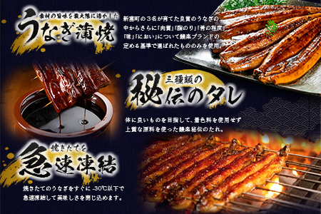 ［2025年12月お届け］特大 うなぎ 鰻楽 国産 蒲焼 4尾 無頭 計760g以上 おすすめ 贈答品 ギフト 贈り物【C388-760-2512】