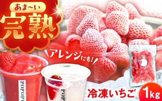 【先行予約】【2026年1月中旬より順次発送】冷凍いちご 1kg / 冷凍いちご 冷凍苺 冷凍 苺 イチゴ いちご 完熟 完熟いちご 完熟苺 冷凍フルーツ スムージー かき氷 ジャム 手作り スイーツ デザート 産地直送 果物 フルーツ 旬の味覚 新鮮 製菓材料 お取り寄せ 贈答 ギフト 人気 おすすめ 岐阜県 / 恵那市 クリエイティブファーマーズ [AUAH023]