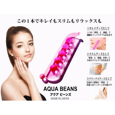 ふるさと納税 足利市 アクアビーンズ