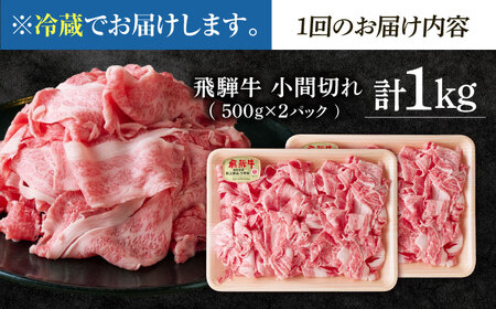 【3回定期便】 ※冷蔵配送/地域限定※ 飛騨牛 小間切 (大) 500g×2セット 瑞浪市 / きなぁた瑞浪 和牛 国産 岐阜県産[AZCI071]
