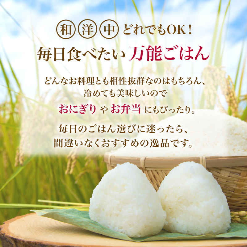 ひとめぼれ 令和7年度産 精米10kg(5kg×2)【精米 白米 米 コメ お米 おこめ ブランド米 ご飯 ごはん 秋田 にかほ】
