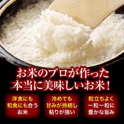 ふるさと納税 大洲市 栽培期間中農薬不使用!旬のお野菜セット+クリーン白米【ふるさと納税限定】 [AGBX009] |  | 01