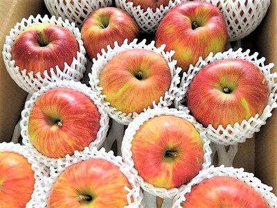 りんご（あいかの香り）５ｋｇ　ご家庭用　0075-2412