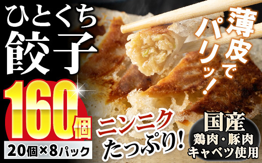 
【ニンニクたっぷりジューシー!】一口ぎょうざ160個セット B-635

