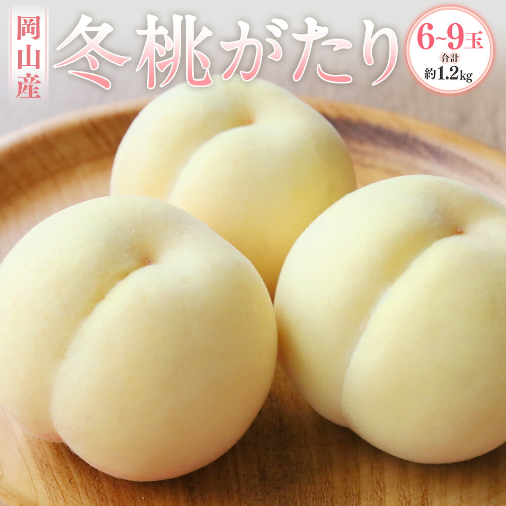 【ふるさと納税】岡山産 冬桃がたり 6～9玉 約1.2kg 化粧箱入り 桃 果物 くだもの フルーツ 高糖度 お取り寄せ 国産 岡山県 奈義町 送料無料 【2025年11月下旬～12月下旬迄発送予定】