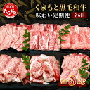 【ふるさと納税】《定期便6回》くまもと 黒毛和牛 味わい 定期便～合計 3kg ブランド牛 《 黒毛 和牛 ロース 焼き肉 すき焼き 切り落とし 赤身 スライス 和王 》 焼き肉 すきやき スキヤキ BBQ アウトドア 霜降り 上質 ブランド牛 国産 牛肉 冷凍 熊本県 送料無料