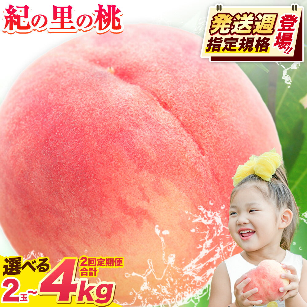 【ふるさと納税】桃 和歌山県産 紀の里の桃 選べる 約2kg (6〜8玉) または【2回定期便】約2kg×2回 または 2玉《2025年6月中旬-8月中旬頃出荷》 2025年 先行予約 紀の里の桃 白鳳 日川白鳳 なつっこ 清水白桃 川中島白桃 八旗白桃 和歌山 もも
