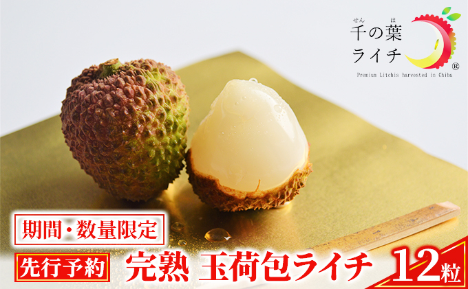
                  【千の葉ライチ】の 完熟 玉荷包ライチ （先行予約）【果物 フルーツ デザート】[№5346-0309]
                