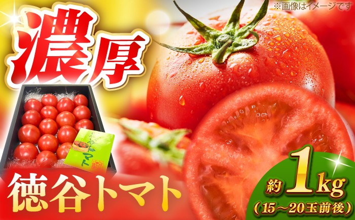 
                  濃厚！徳谷トマト約1.0kg 箱詰 生産者指定なし 厳選上級品 〈2026年6月中旬頃まで発送〉 / とまと 高知 フルーツ 果物 高知 【グレイジア株式会社】[ATAC322]
                