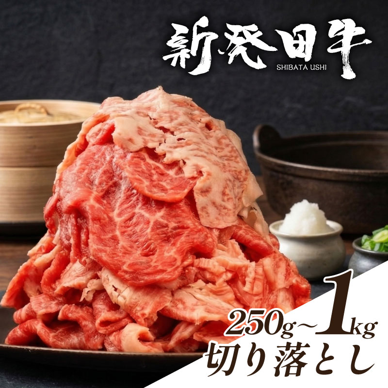 【ふるさと納税】 切り落とし 250g 500g 1kg 選べる 容量 牛肉 和牛 霜降り 黒毛和牛 ブランド牛 新発田牛 国産牛 しゃぶしゃぶ 小間切れ 新潟県 新発田市 新潟 新発田 えのもとミート
