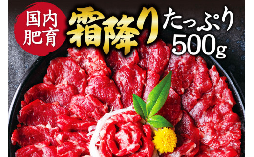 
【ふるさと納税】 熊本馬刺し 霜降りたっぷり500g (50g×10パック) 専用醤油付き
