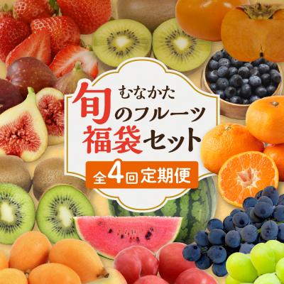 ふるさと納税 宗像市 何が届くかお楽しみ!むなかた旬のフルーツ福袋定期便【年4回】【JAほたるの里】_HB0165