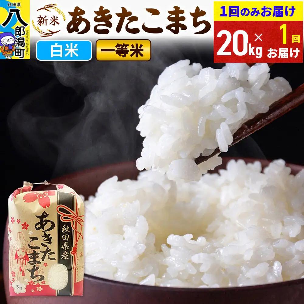 《新米》あきたこまち 一等米 精米 20kg 秋田県産 こまちライン