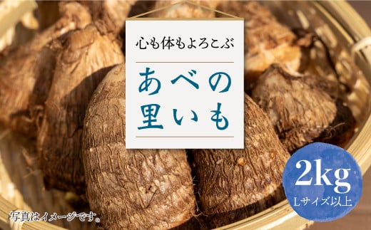 心も体もよろこぶ　あべの里いも２㎏