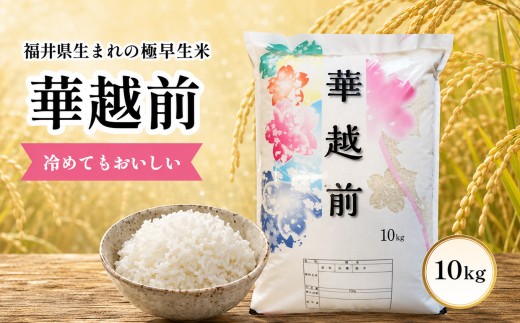 ＼新米／華越前 （ハナエチゼン） 10kg 令和8年度産 福井県 越前市産【期間限定販売】