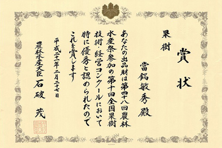 【予約受付】【農林水産大臣賞受賞】當銘さんグループのスナックパイン２．２ｋｇ（２玉～５玉）【2026年4月20日より順次発送予定】YK-2 