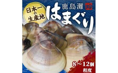 鹿島灘はまぐり 8~12粒 砂抜き はまぐり hamaguri