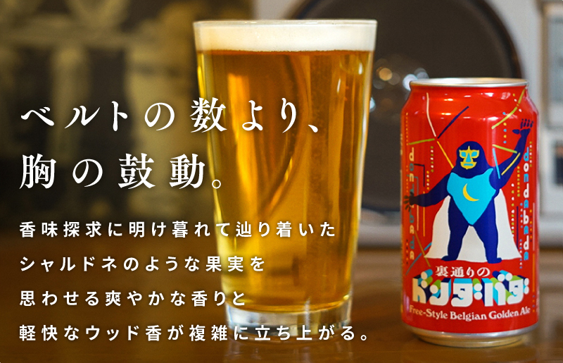クラフトビール 裏通りのドンダバダ 48本 泉佐野市ふるさと納税オリジナル