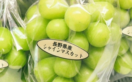 【定期便3回】シャインマスカット約1kg×3回(2025年10月/11月/12月発送)｜シャインマスカット