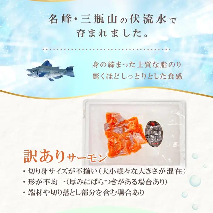 【訳あり】さんべサーモン切り落し 300g【サーモン 300g 切り落し サーモントラウト ニジマス サーモン さけ シャケ しゃけ sake 生食用 刺身 お刺身 刺し身 魚介類 海鮮 冷凍】